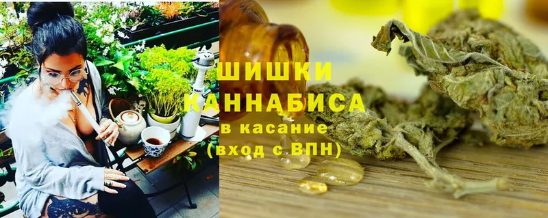 Каннабис OG Kush  Приморско-Ахтарск 